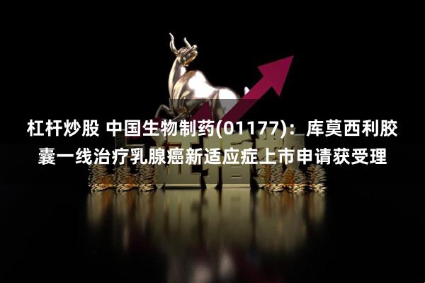杠杆炒股 中国生物制药(01177)：库莫西利胶囊一线治疗乳腺癌新适应症上市申请获受理