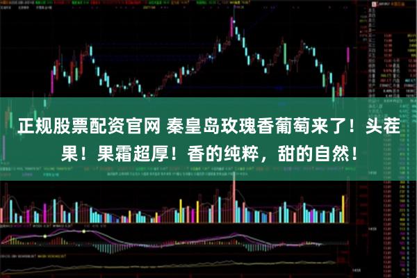 正规股票配资官网 秦皇岛玫瑰香葡萄来了！头茬果！果霜超厚！香的纯粹，甜的自然！