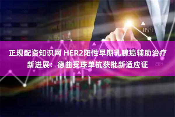 正规配资知识网 HER2阳性早期乳腺癌辅助治疗新进展：德曲妥珠单抗获批新适应证